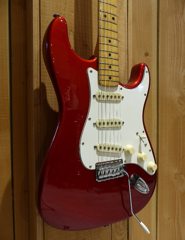 3197419.jpg