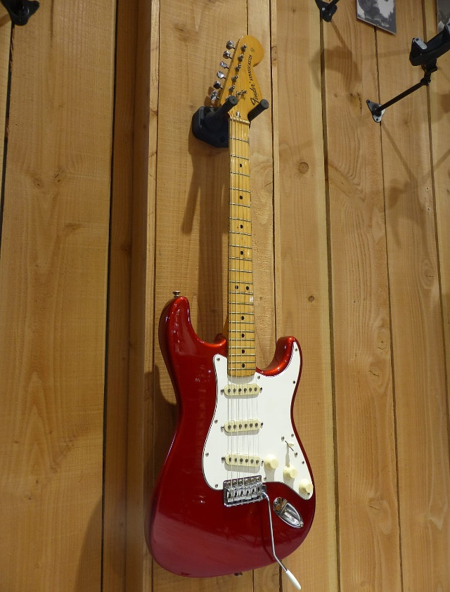 3197421.jpg