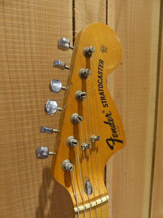3197423.jpg