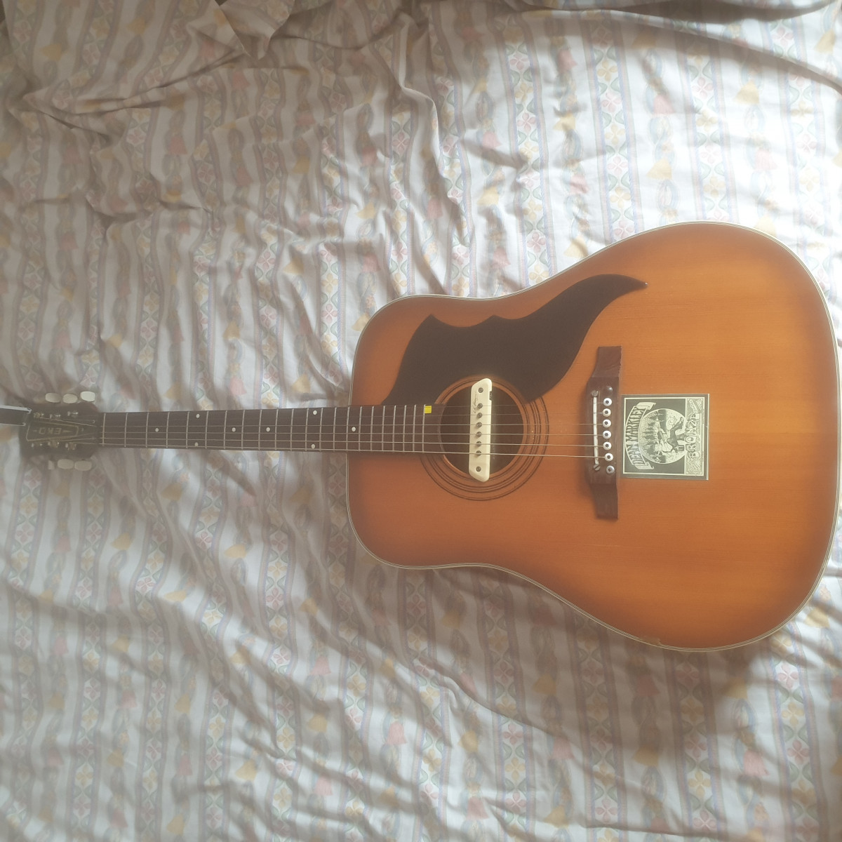 Guitarra Acústica EKO + pastilla L. R. Baggs de segunda mano por 430 € en  Madrid | Guitarristas.info