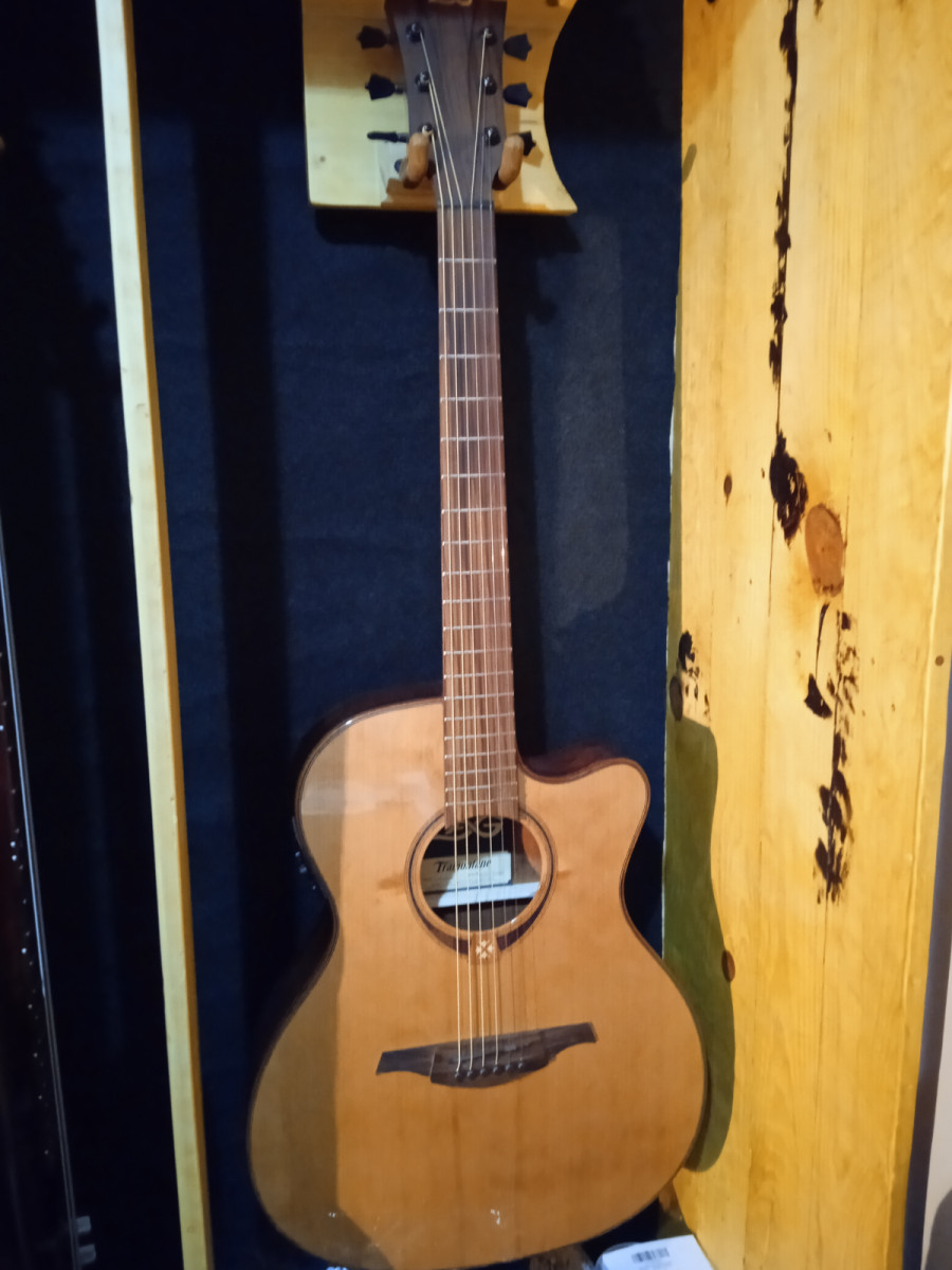 Lag t118asce, guitarra electroacústica y funda ritter pro, envío incluido  de segunda mano por 360 € en Jaén | Guitarristas.info