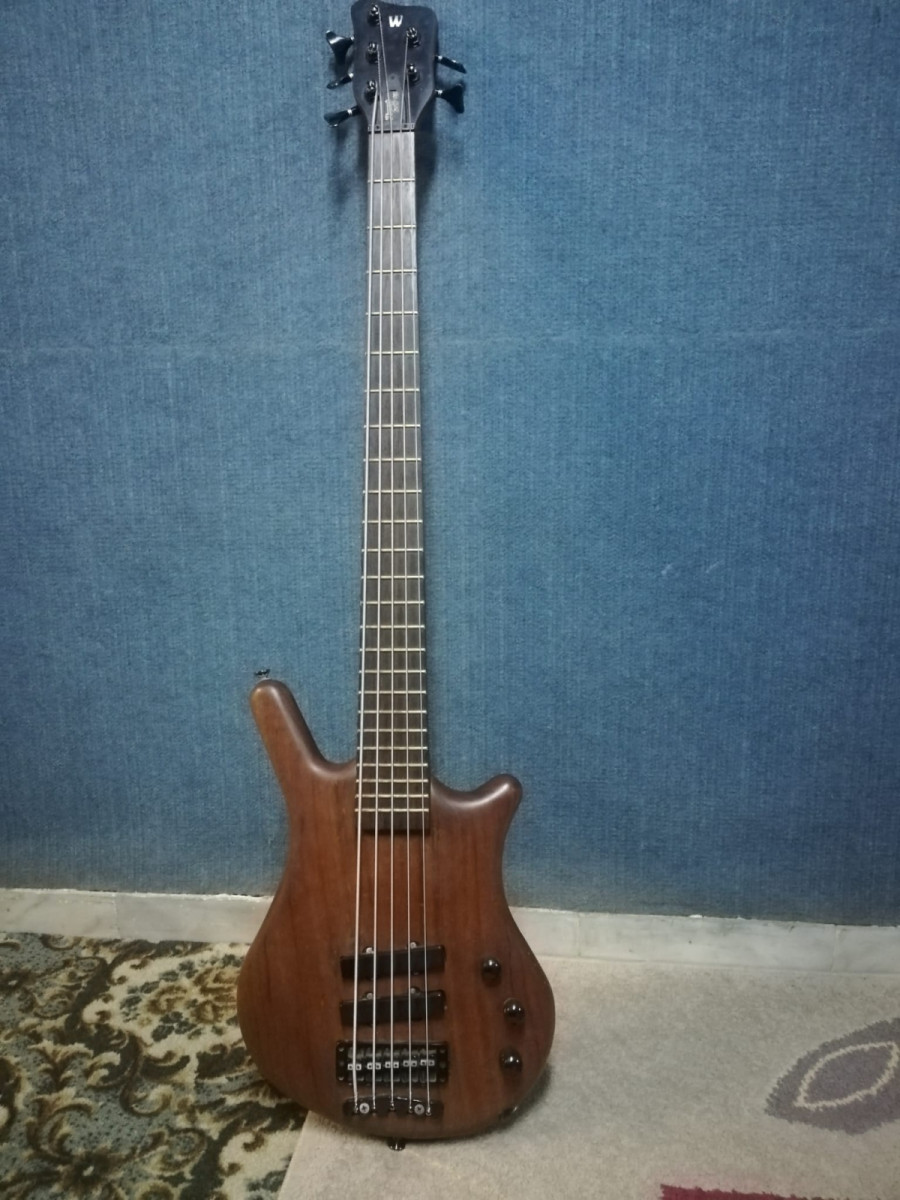 warwick Thumb bass BO 5 cuerdas de segunda mano por 850 € en Palencia |  Hispasonic