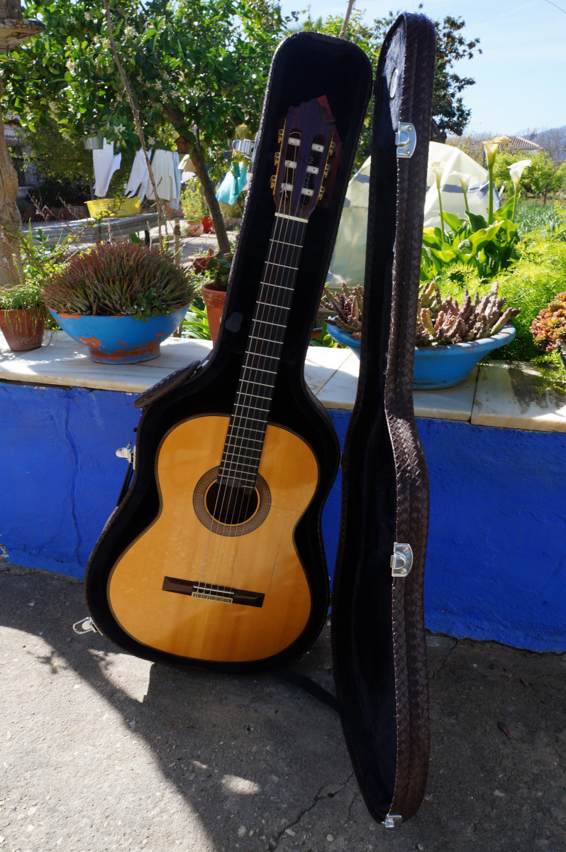Demostrar Lionel Green Street Continente Guitarra Clásica Paco Castillo 205 Amplificada por Carlos Juan de segunda  mano por 600 € en Málaga | Guitarristas