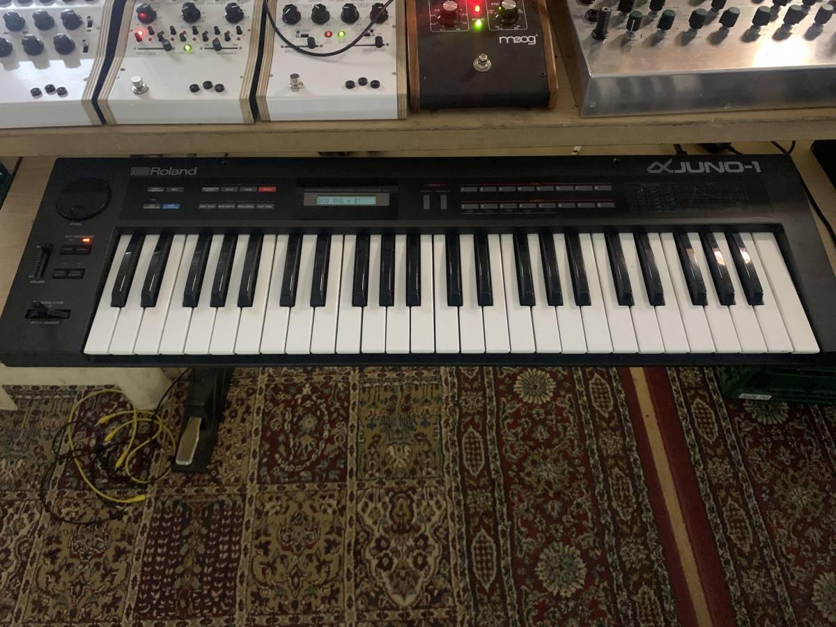 ROLAND JUNO ALPHA 1 Junito necesita un nuevo hogar de segunda mano por